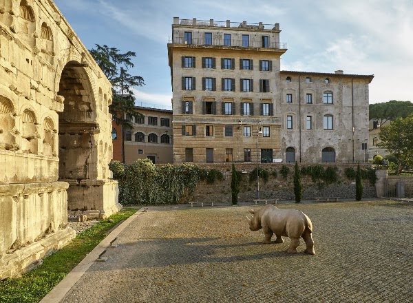 rhinoceros gallery