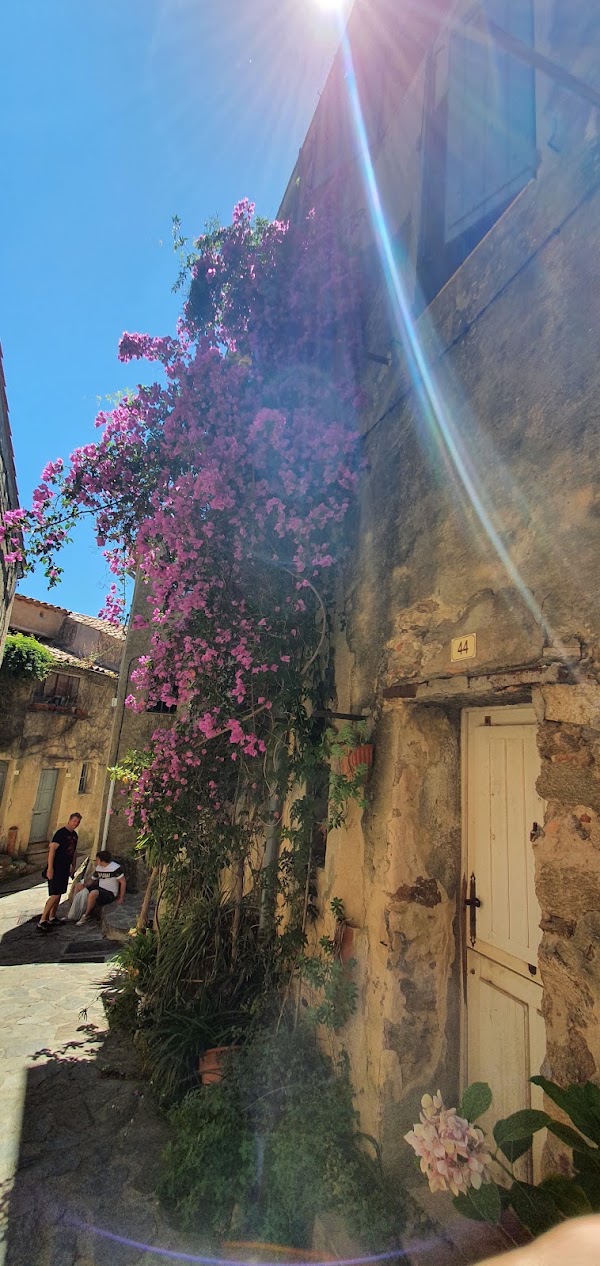 Ramatuelle 3