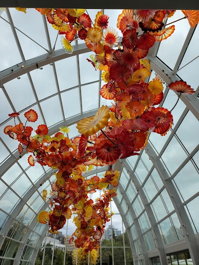 Chihuly Garden and Glass 1