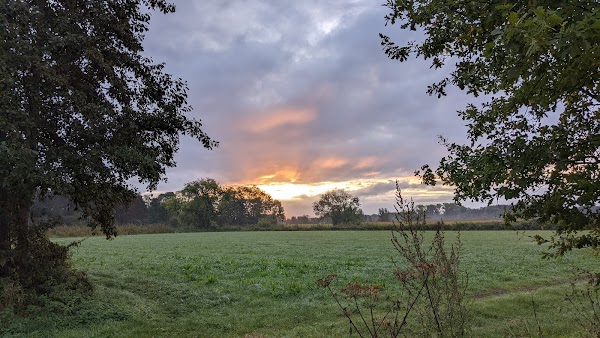 Van Gogh - Roosegaarde Cycle Path 5