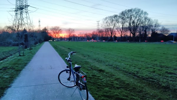 Van Gogh - Roosegaarde Cycle Path 3