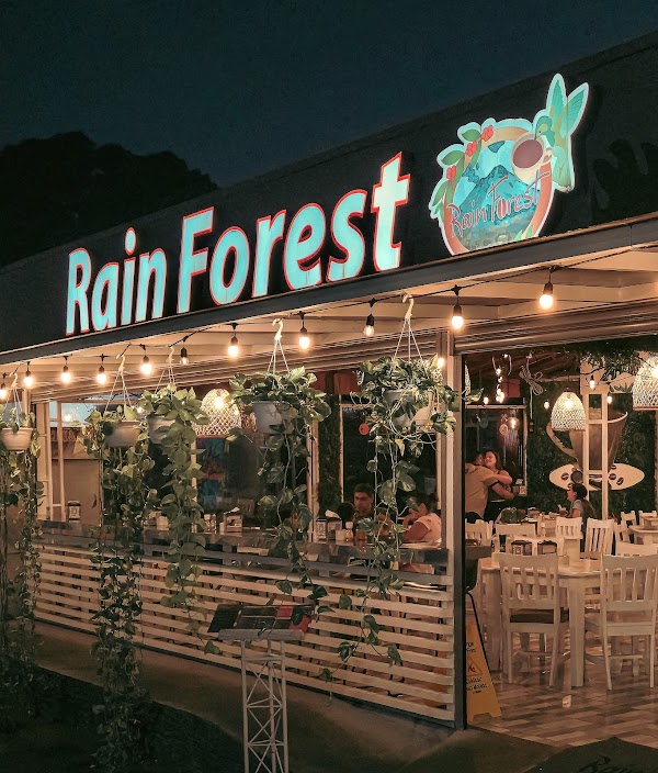 Rain Forest 1