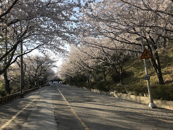 Hwangnyeongsan 5