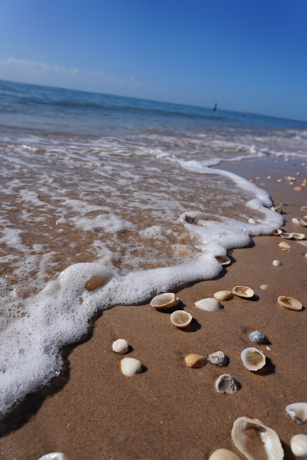 Burrum Shores Beachfront Campground 5