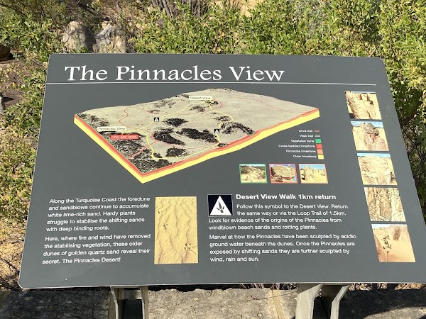 The Pinnacles Desert 5