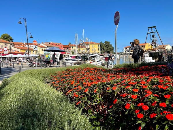 Novigrad 5