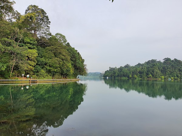 MacRitchie Reservoir 5