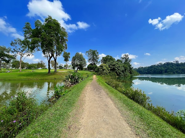 MacRitchie Reservoir 4