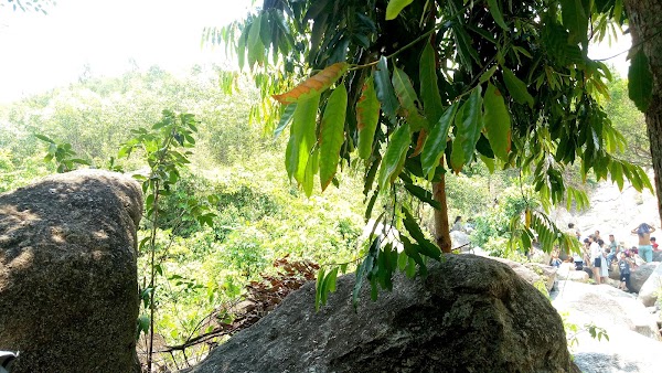 Suoi Mo Waterfall 2