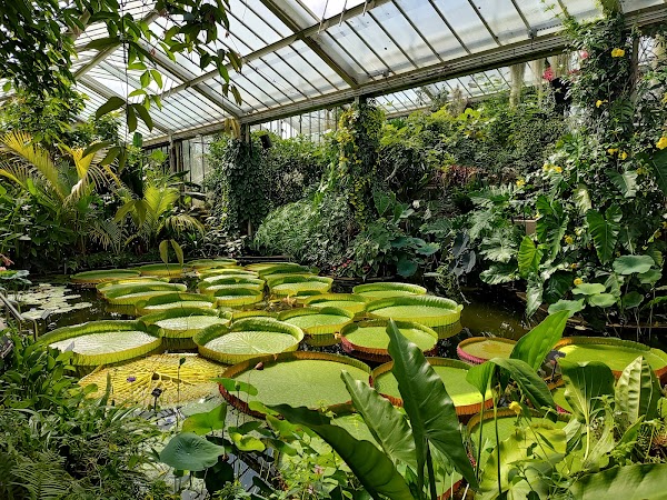Princess of Wales Conservatory 1