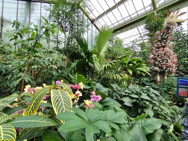 Princess of Wales Conservatory 4