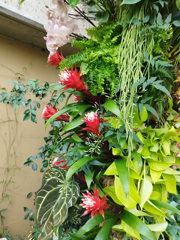 Princess of Wales Conservatory 2