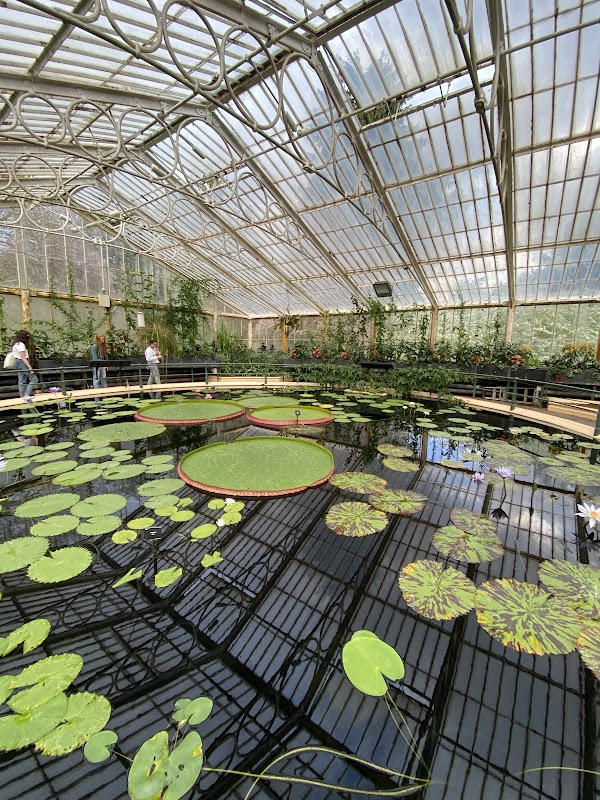 Waterlily House 1
