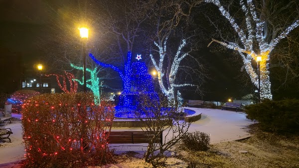Frost Park 3