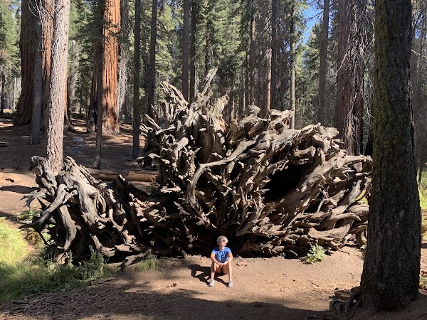 The Congress Trail 5
