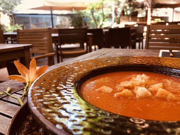 Restoran Novi Mydan 4