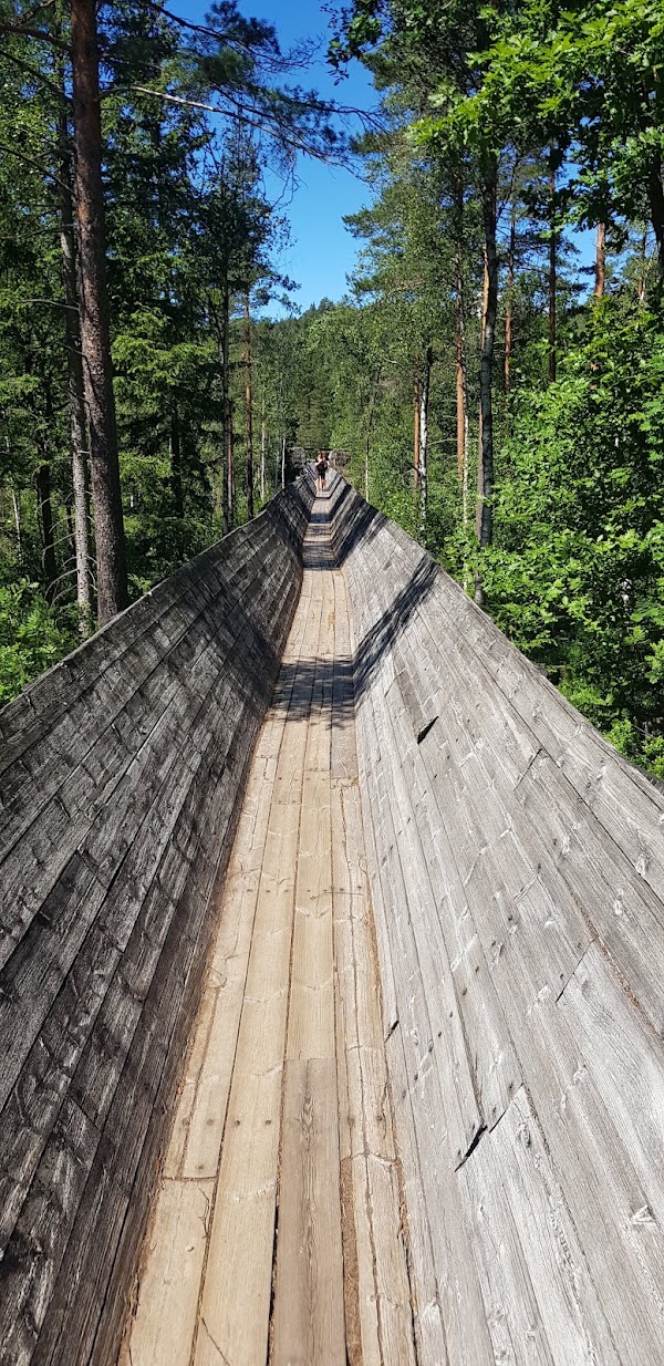 Steinsfoss Lumber Slide 2
