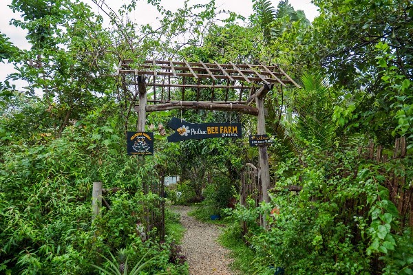 Phu Quoc Bee Farm 1