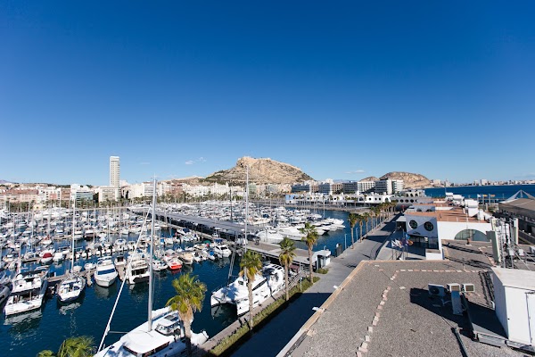 Alicante 5