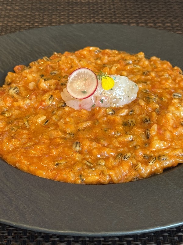 체나콜로 4
