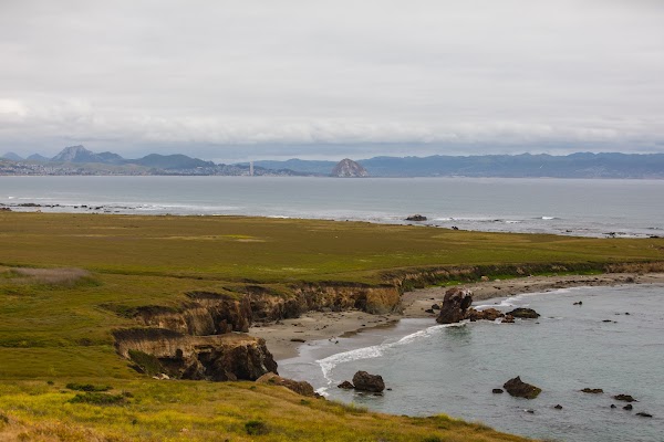 Estero Bluffs State Park 1