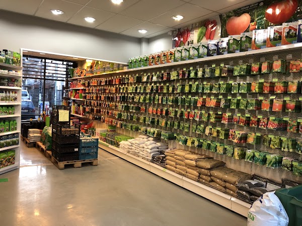 Women's Market 3