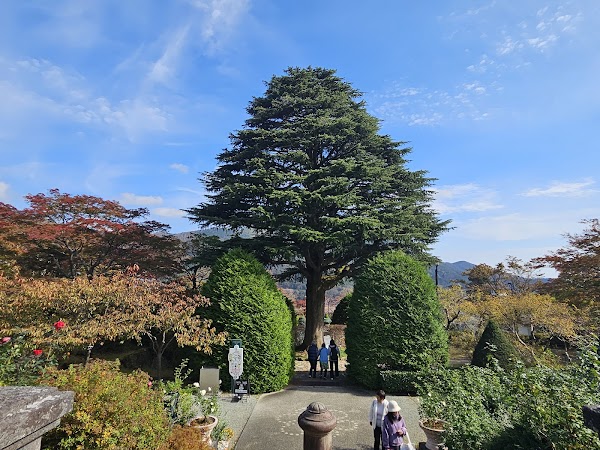 Hakone Gōra Park 4