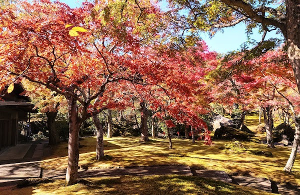 Hakone Gōra Park 2