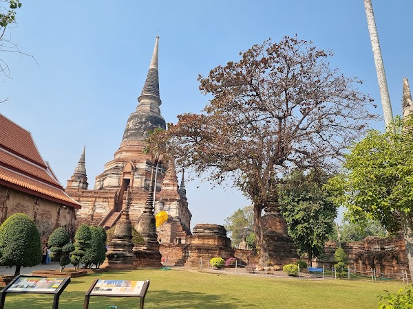 Wat Yai Chai Mongkhon 5