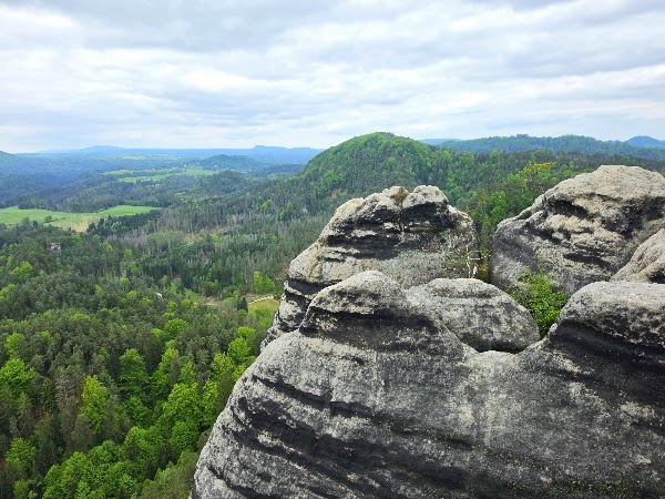 Wilhelmine's View 5