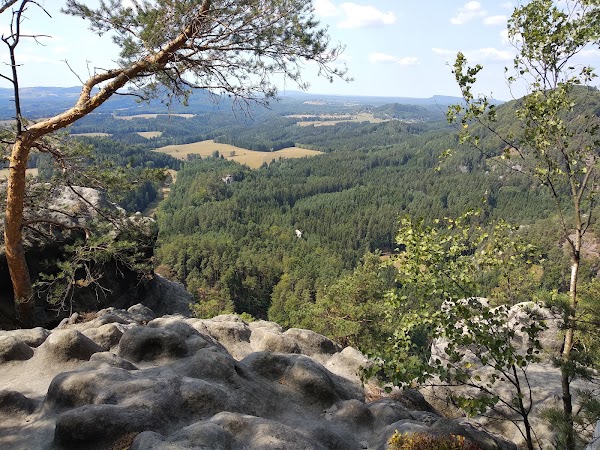 Wilhelmine's View 3