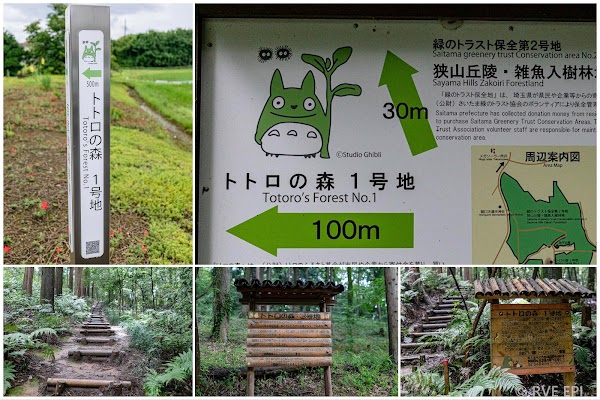 Totoro’s Forest No. 1 4
