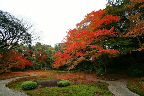 Yoshikien Garden 5