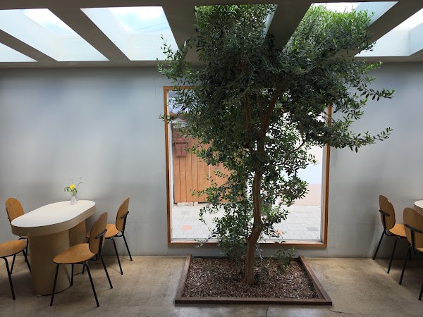 Olivee 5