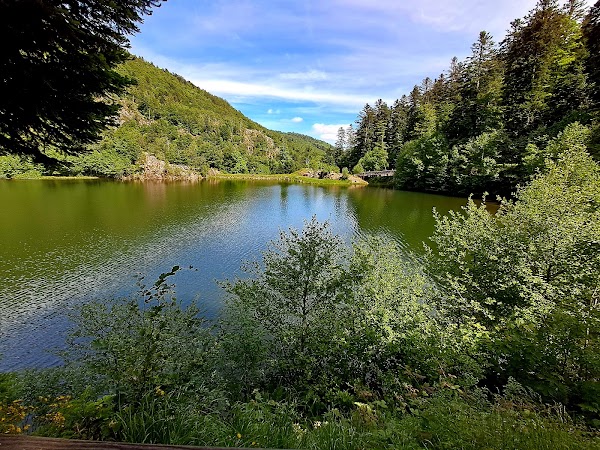 Lacs des Grand et Petit Neuweiher