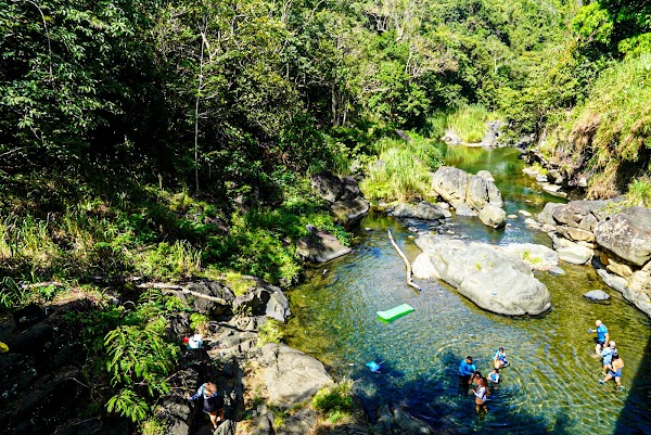 Puente Cacao 1