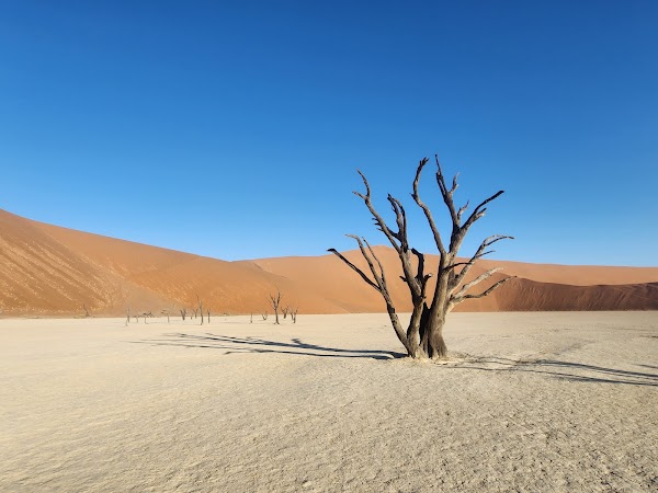 Namib-Naukluft National Park