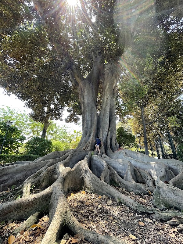 Murillo Gardens 2