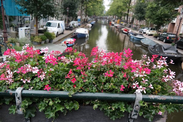 Egelantiersgracht 3