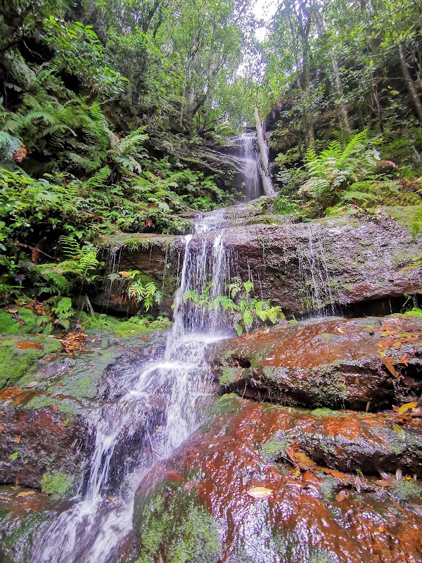 Blue Mountains National Park 3