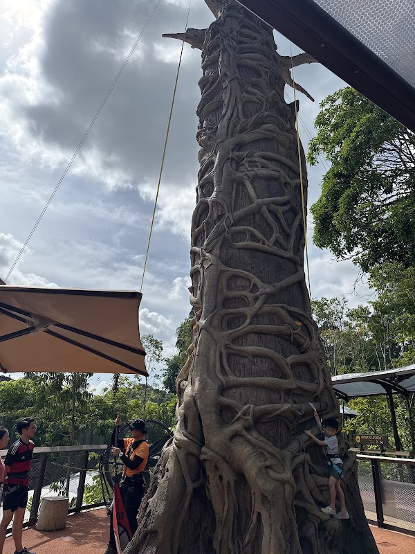 Rainforest Wild Adventure 4