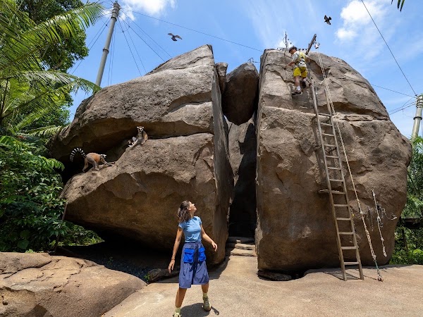 Rainforest Wild Adventure 3