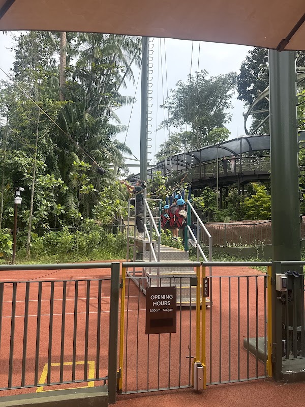 Rainforest Wild Adventure 2