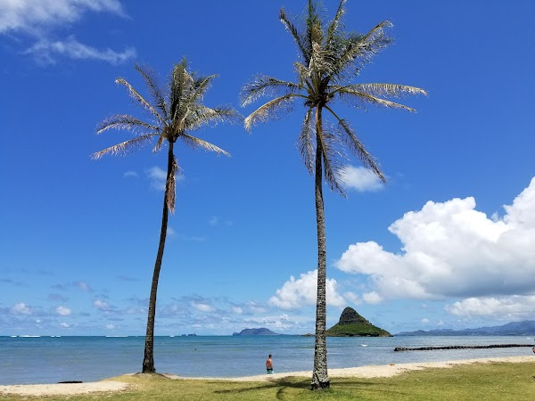 Hawaii 86