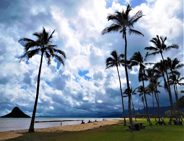 Kualoa Regional Park 5