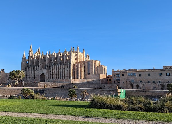Catedral-Basílica de Santa María de Mallorca 5