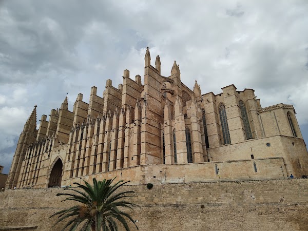 Catedral-Basílica de Santa María de Mallorca 4