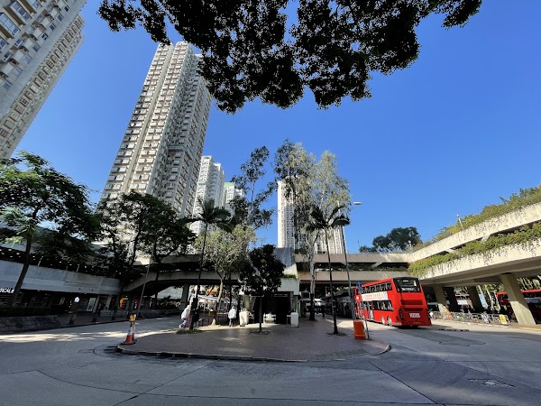 Tai Po Central Bus Terminus 1