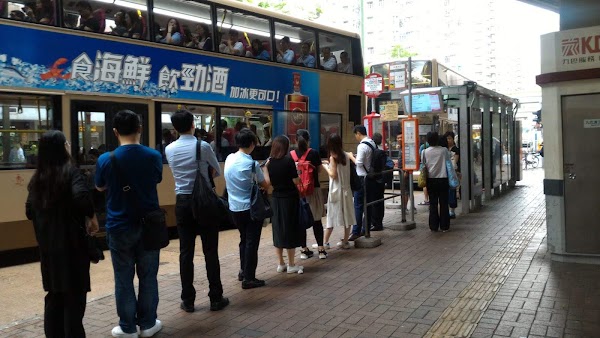 Tai Po Central Bus Terminus 2