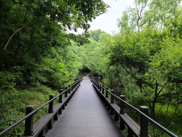 Gildong Ecological Park 5
